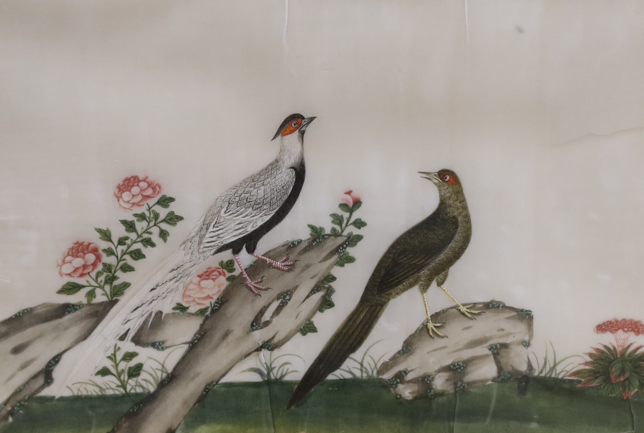 19th century, Chinese School, set of four pith paper paintings, Birds of Paradise, together with a similar example, Still life of a pomegranate, housed in a simulated bamboo frame, largest each 18.5 x 28cm